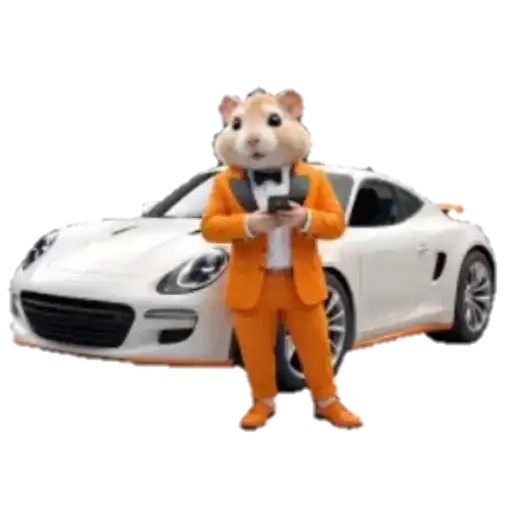 🐹Hamster cards preview