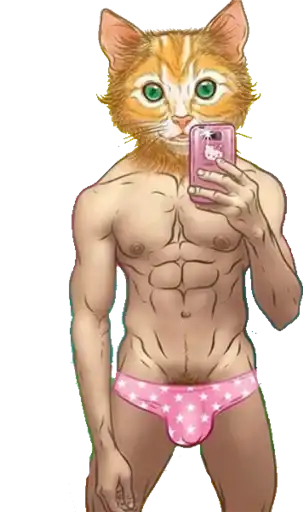 Popular Real Guys preview