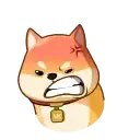 Бака Акио preview