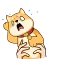 Бака Акио preview