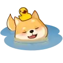 Бака Акио preview