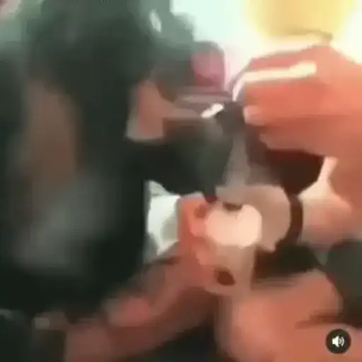 Video Monkeys > preview