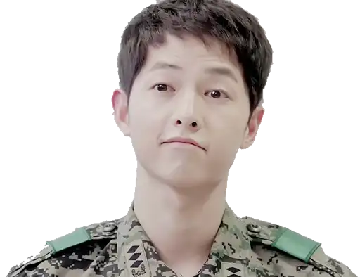 Descendants of the sun preview