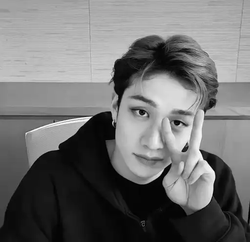 Bang chan :; preview