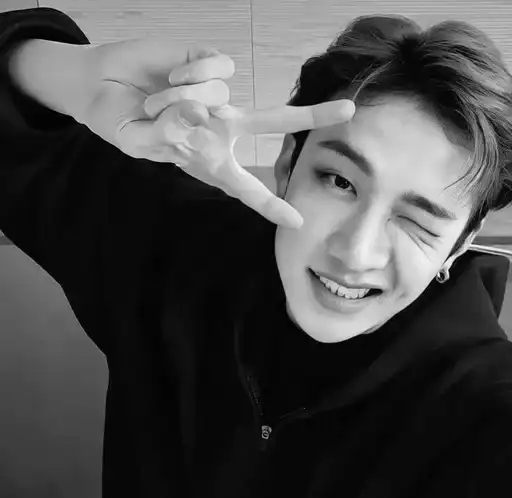 Bang chan :; preview