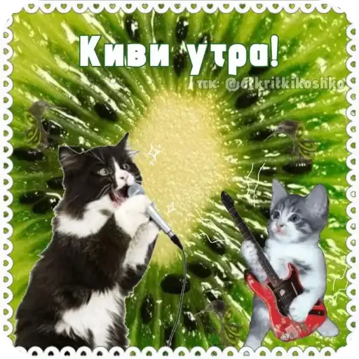 Котячие открытки preview