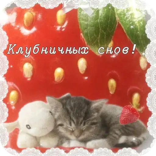 Котячие открытки preview