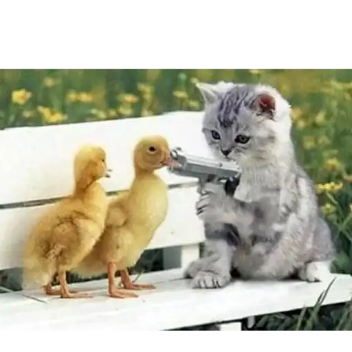 Party animals preview