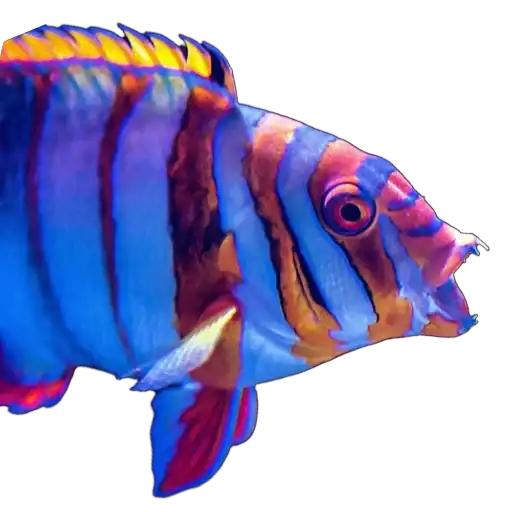 Sticker 🧛‍♂️