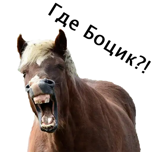 pdrfativanov preview