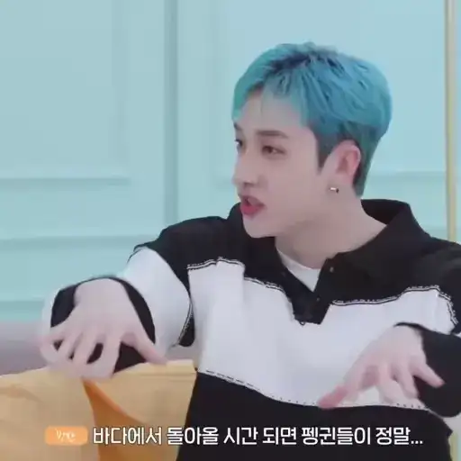 Bang chan and felix preview