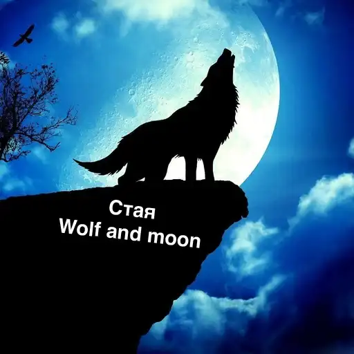 Sticker 🐺