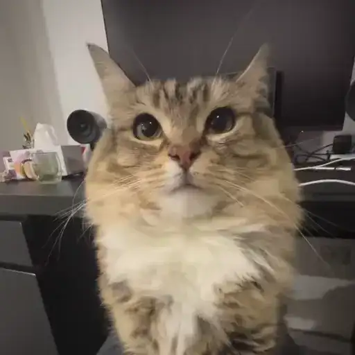 Luna by refresherx preview