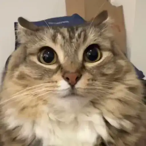 Luna by refresherx preview