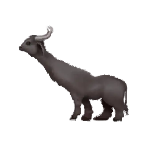 Oh no.. [Animal preview