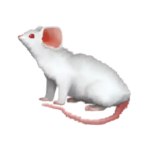 Oh no.. [Animal preview