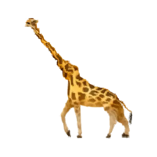 Sticker 🦒