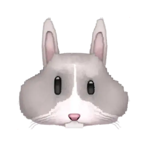 Sticker 🐰