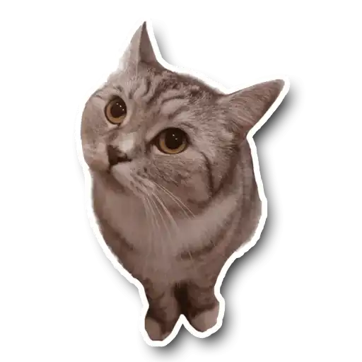 Маша🥰 preview