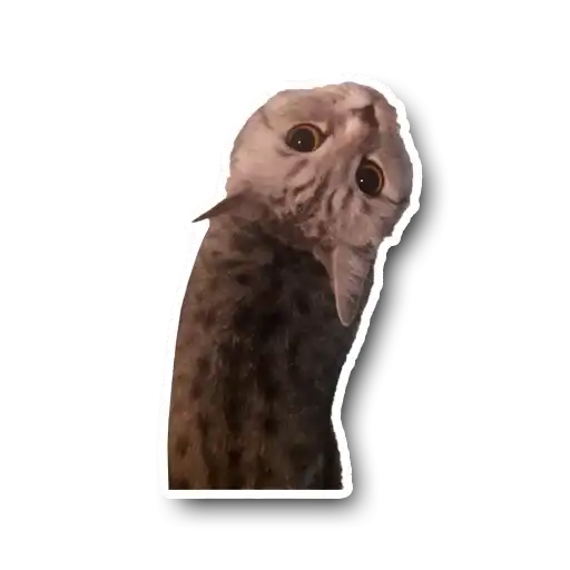 Маша🥰 preview