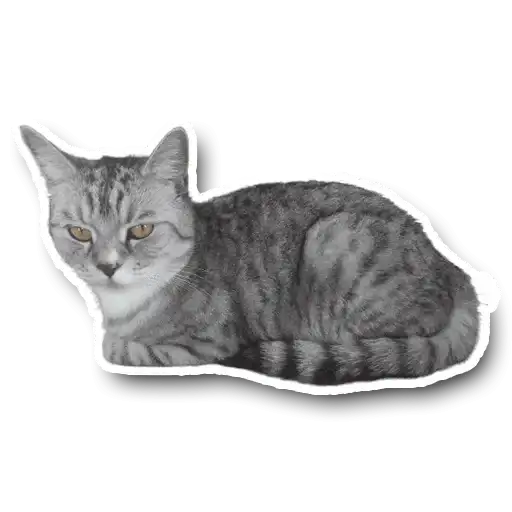 Маша🥰 preview