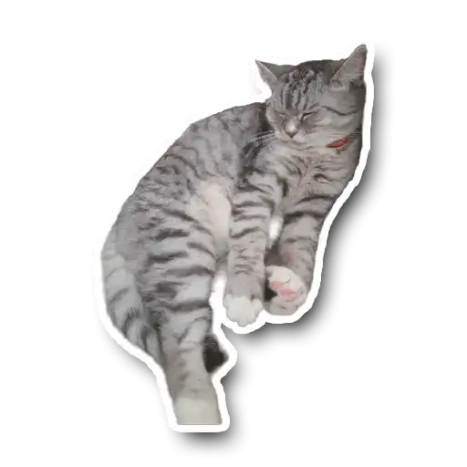 Sticker 😴