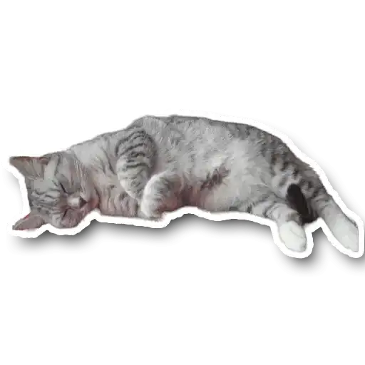 Маша🥰 preview