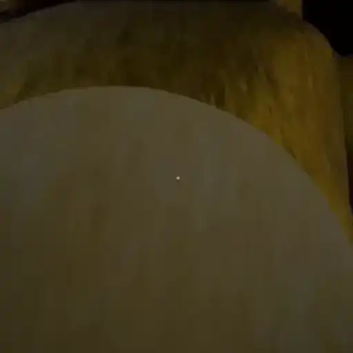 Sticker 🏃‍♂️