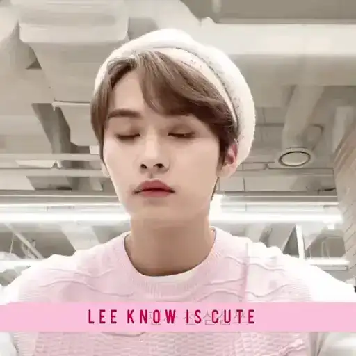 ♡︎.stray kids 스트레이 끼즈.♡︎ preview