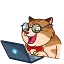 Memes With Cats preview