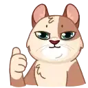 Memes With Cats preview