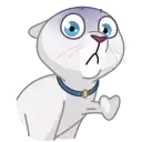 Memes With Cats preview