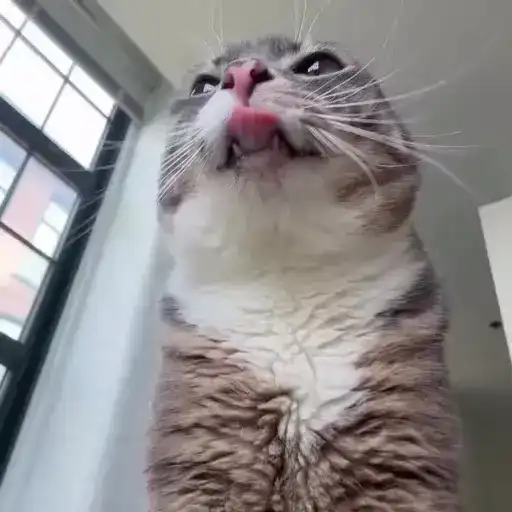 Sticker 🙎‍♂️