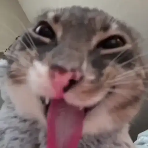 Ригби Кот preview