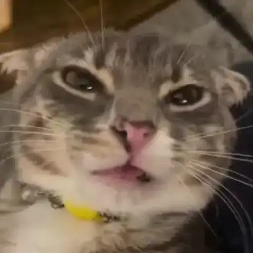 Sticker 🦹‍♀️