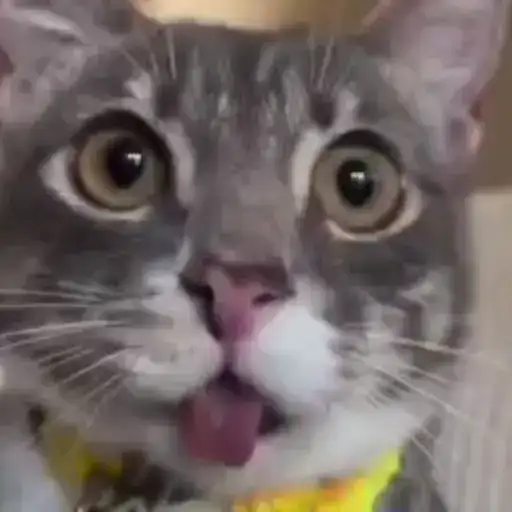 Sticker 👯‍♂️