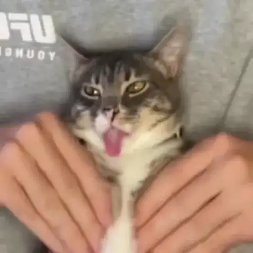 Sticker 💆‍♂️