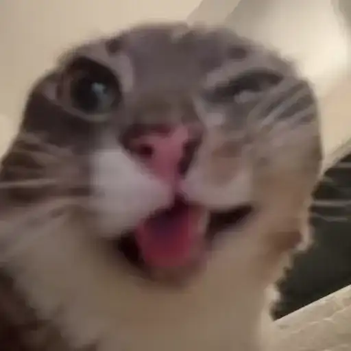 Sticker 🏴‍☠️