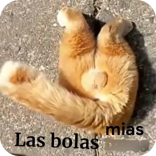 Maduro Me lo Mama preview