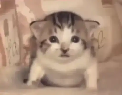 Котята. Больше стиков preview