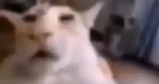 Котята. Больше стиков preview