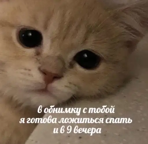 Стики дишки preview