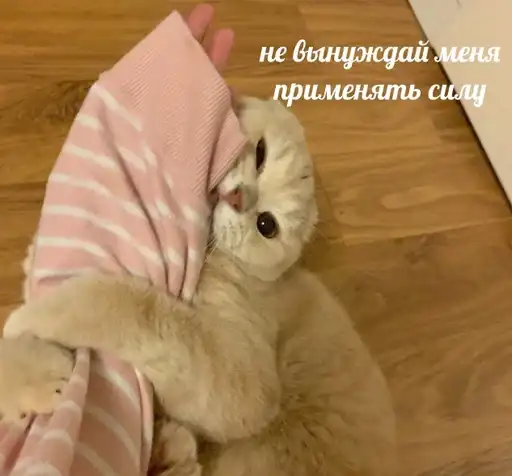 Стики дишки preview