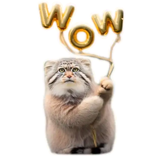 Autumn Manul preview