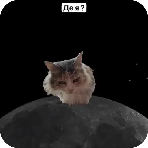 Биг Кицюня и её котята~ preview