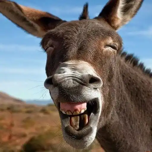 Very strange animals preview