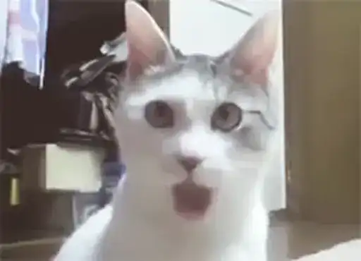 Мурмяу 2 preview