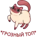 Котик Веня preview