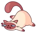 Котик Веня preview