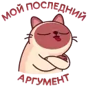 Котик Веня preview